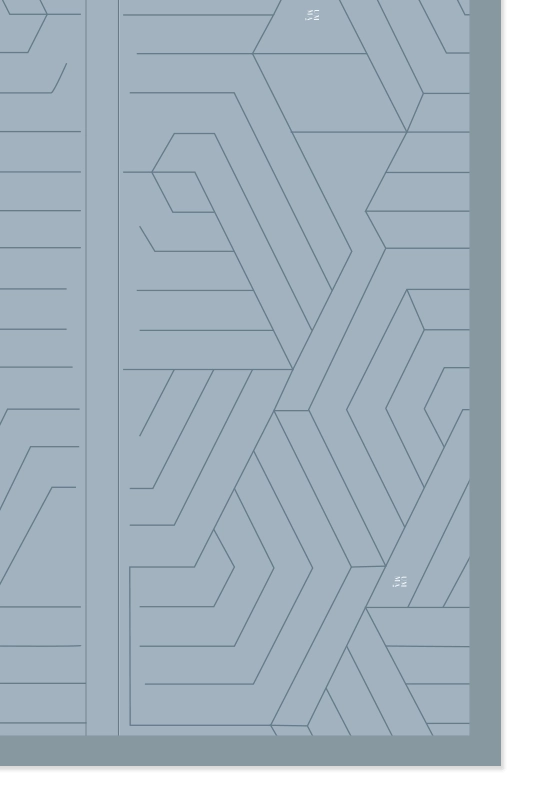 Linear Printed Scarf in Grey